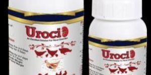 Urocid Liquid