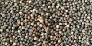 Black Pepper