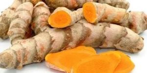 Fresh Turmeric