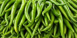 Fresh Green Chilli
