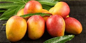 Fresh Mango