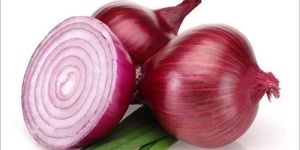 Fresh Onion