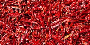 Dried Red Chilli