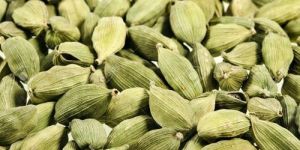 Green Cardamom