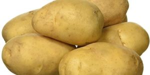 Fresh Potato