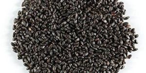 Tulsi Seeds
