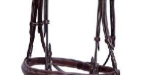 Horse Bridle