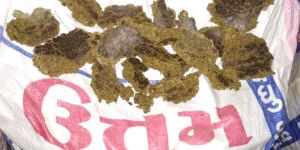 Cotton Seed Oil Cake