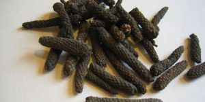 Pipli (Long Pepper)