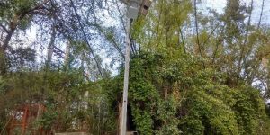 Solar Street Light