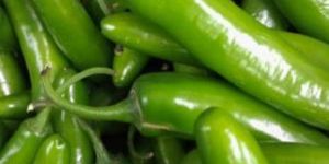 Fresh Green Chilli
