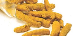 Polished Turmeric Finger