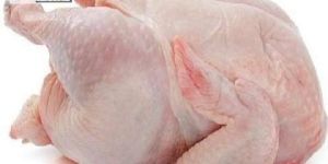 Chicken Meat