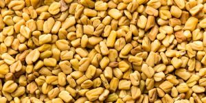 Fenugreek Seed