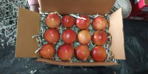 Fresh Pomogranet