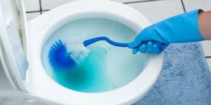 Liquid Toilet Cleaner