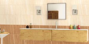 Digital Glazed Vitrified Wall Tiles