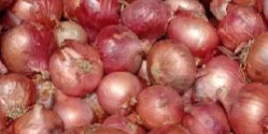 Red Onion