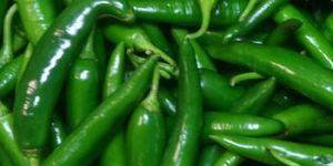 Fresh Long Green Chilli