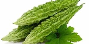 Fresh Organic Bitter Gourd