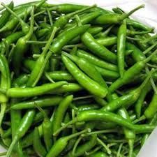 Fresh Organic Green Chilli