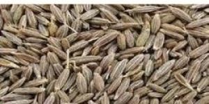 Cumin Seed