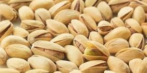 Pistachio