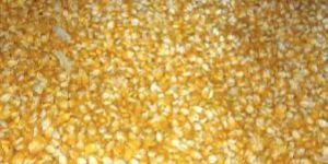 Yellow Maize Cattle Feed
