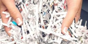 Paper Shedder