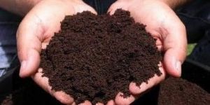 Vermicompost Fertilizer
