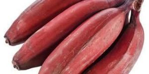 Fresh Red Banana
