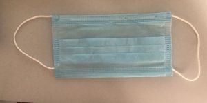 3 Ply Mask