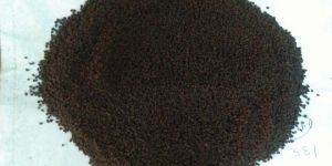 Black Tea