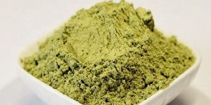 Celery Powder