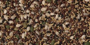 Mix Seeds