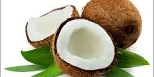 Fresh Coconut
