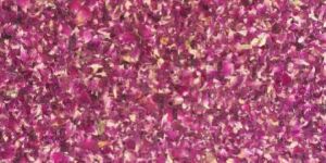 ORGANIC ROSE PETAL