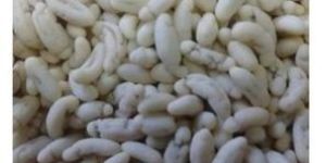 Sugar Coated Fennel Seeds