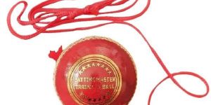 Hanging Cricket Ball
