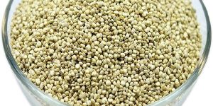 Quinoa Seeds