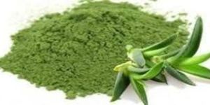 Aloe Vera Powder
