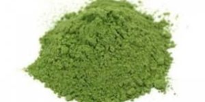 Tulsi Powder