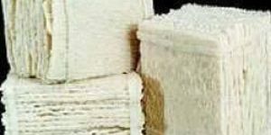 PLC Natural Rubber