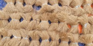Bristle Coir Fibre