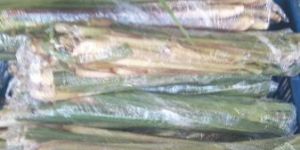 Frozen and Fresh Broccoli