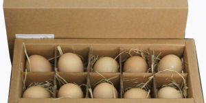 Customized Egg Paper Box