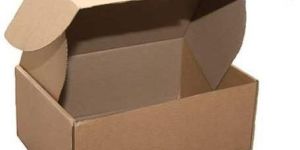Die Cut Paper Box