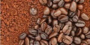 Roasted Ground Filter Coffee