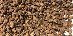 Black Cardamom