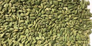 Green Cardamom